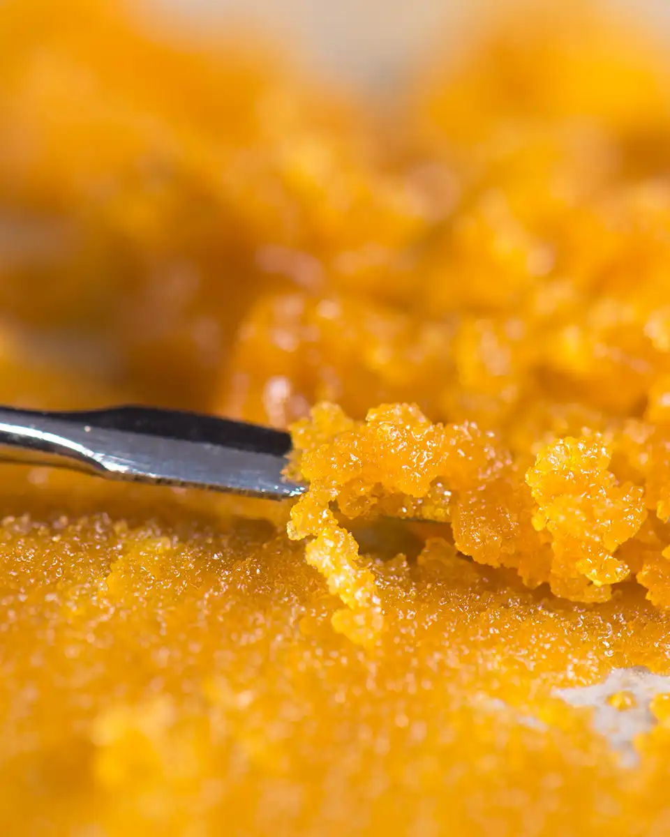 Roslindale Cannabis Company Shop By Category Concentrates