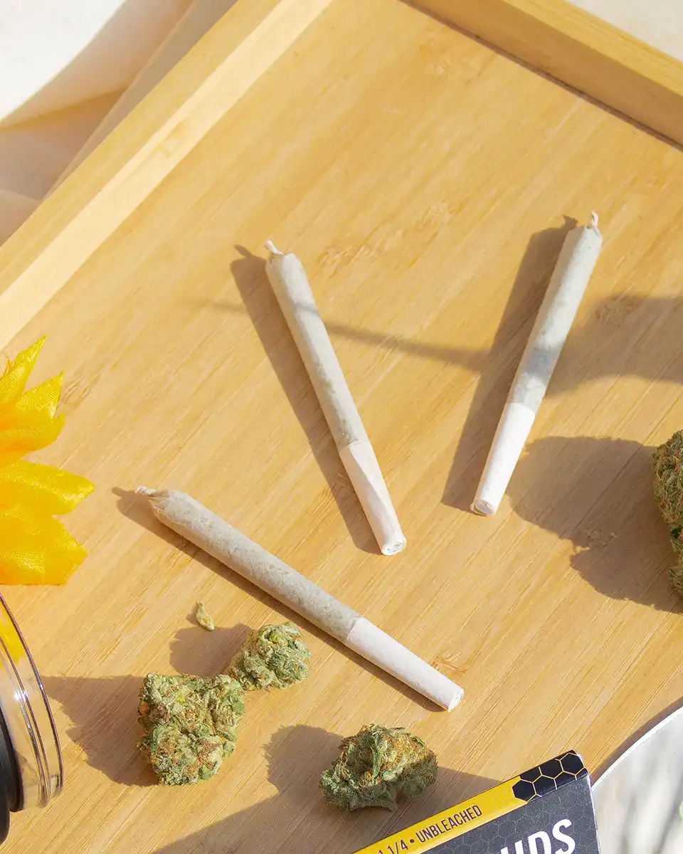 Roslindale Cannabis Company Shop By Category Pre-Rolls